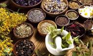 تحقیق گیاهان دارویی و معطر ایران