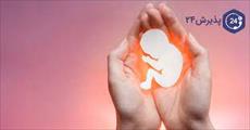 تحقیق سقط جنين